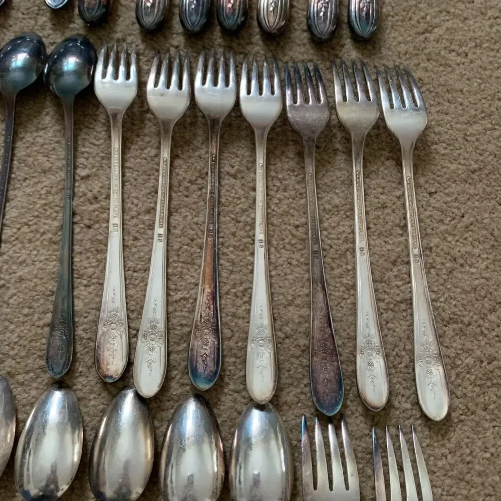 Wm Rogers Mfg. Co. Extra Plate IS TRIUMPH 40 Piece Flatware Set